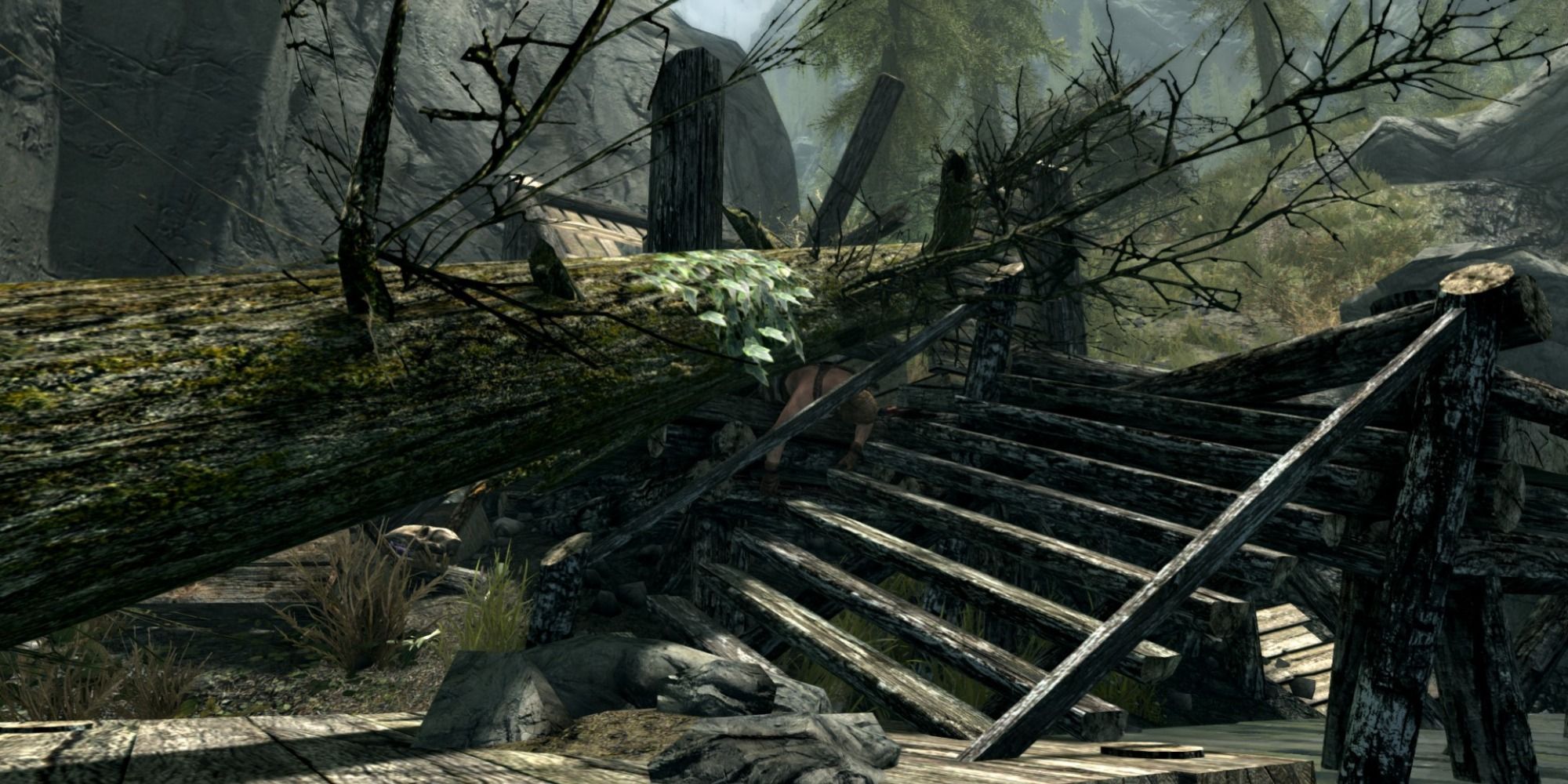 Skyrim screenshot of Lucky Lorenz's cabin.