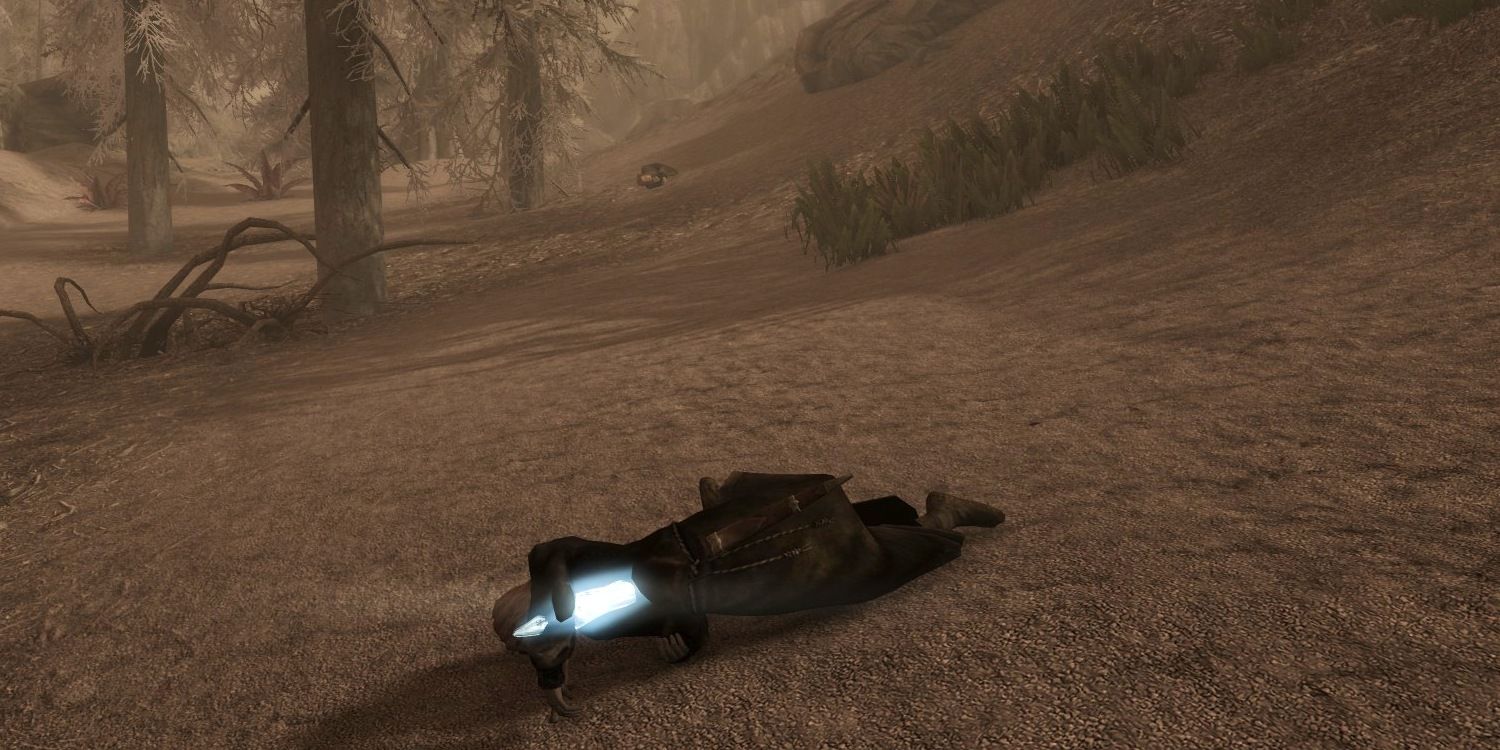 Skyrim screenshot showing two mages that killed each other.