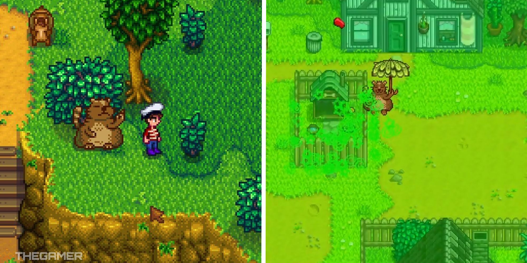How To Complete Trash Bear's Quests Tasks In Stardew Valley