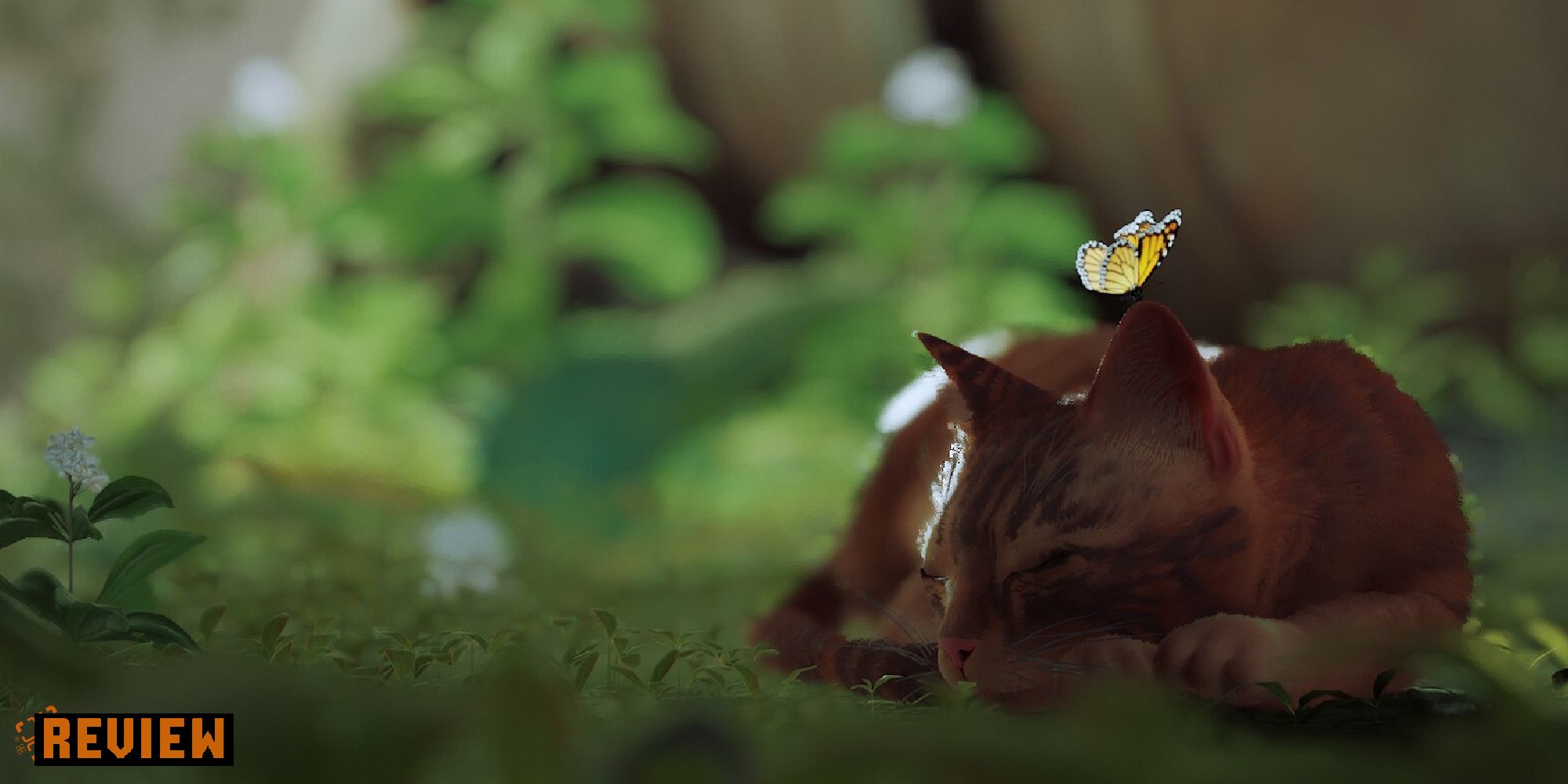 Stray Review: Annoying Cat Simulator Is A GOTY Contender