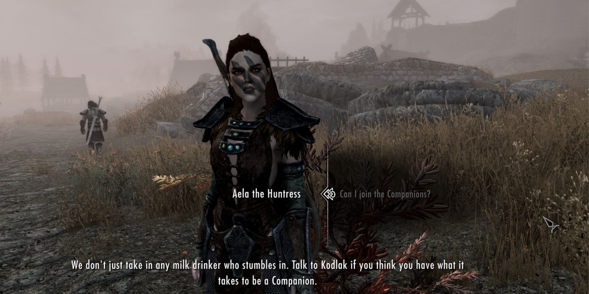 Aela the Huntress speaks to a player outside of Whiterun about joining the Companions