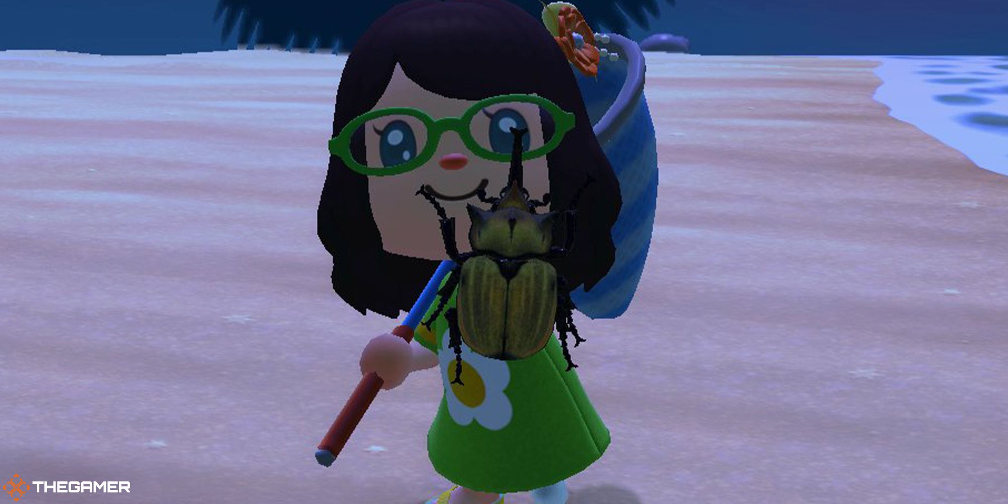 The 10 Rarest Bugs In Animal Crossing New Horizons