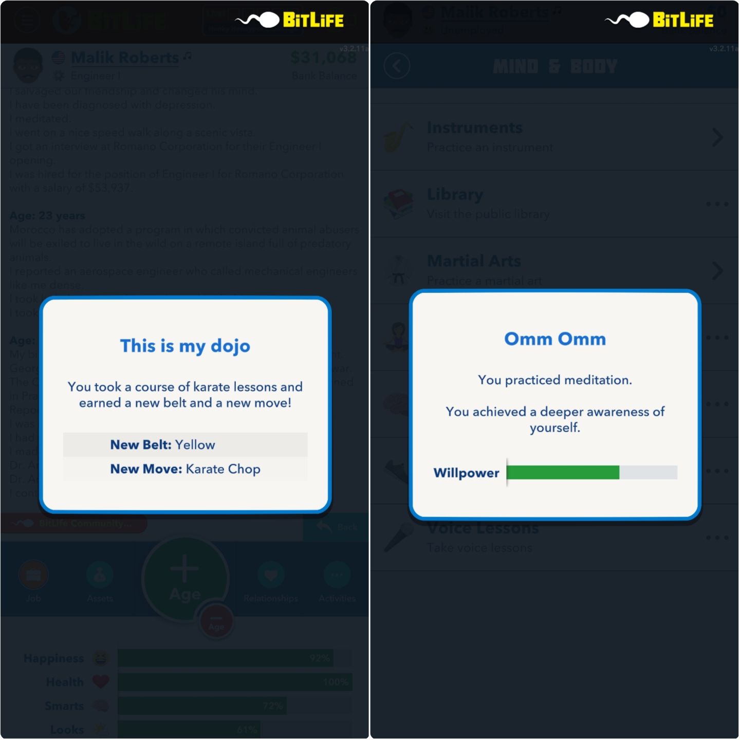 BitLife Secondary Skills