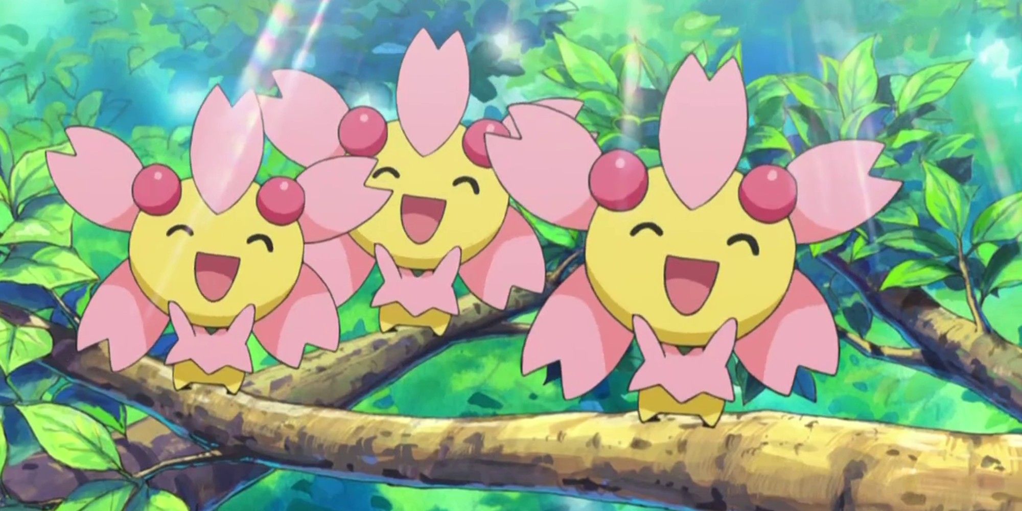 Cherrim trio from the anime, all looking happy and standing on a branch