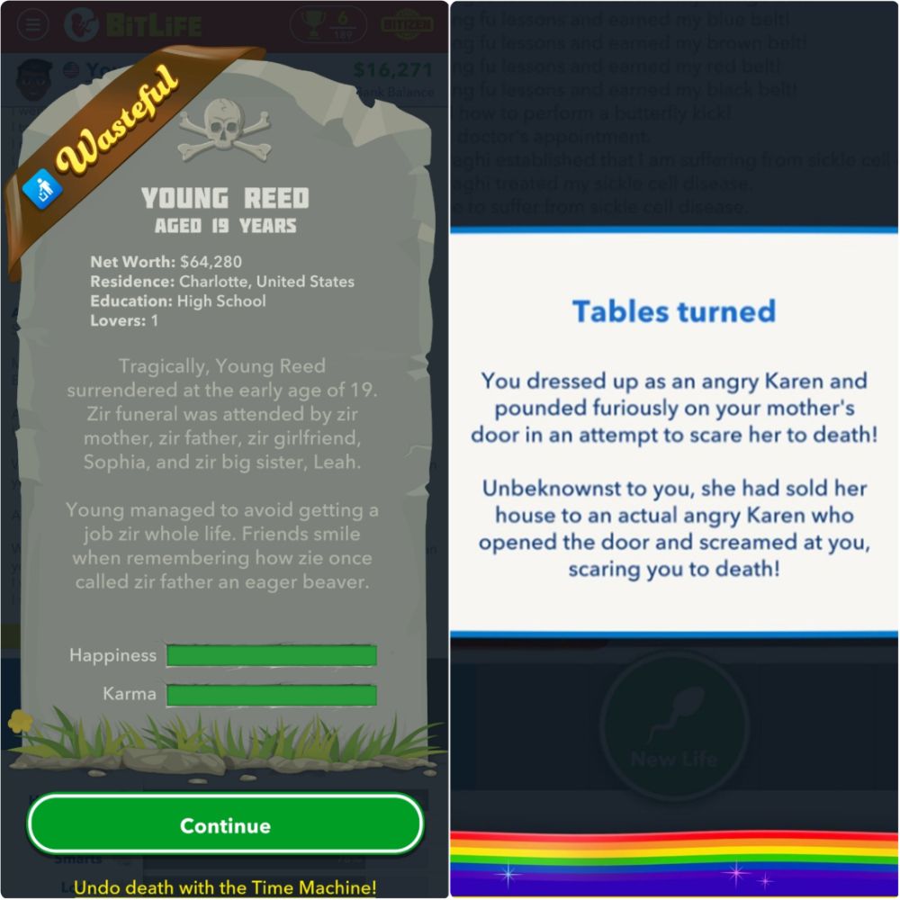 BitLife Death and Death Event Through Karen