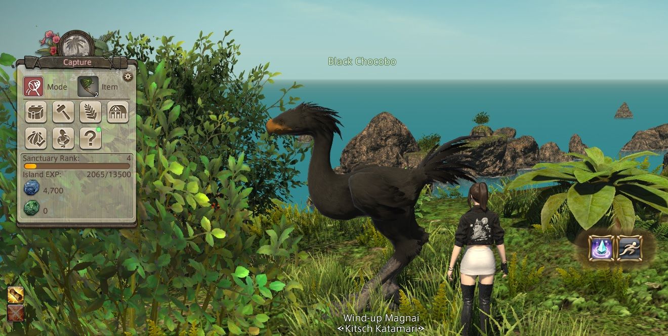 Final Fantasy 14 player in the island sanctuary beside a black chocobo