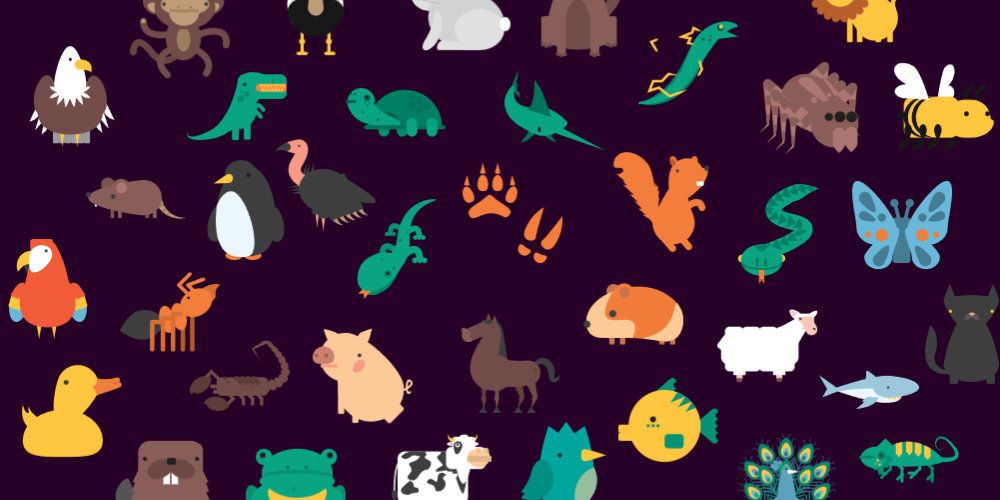 Graphics of various animals scattered around