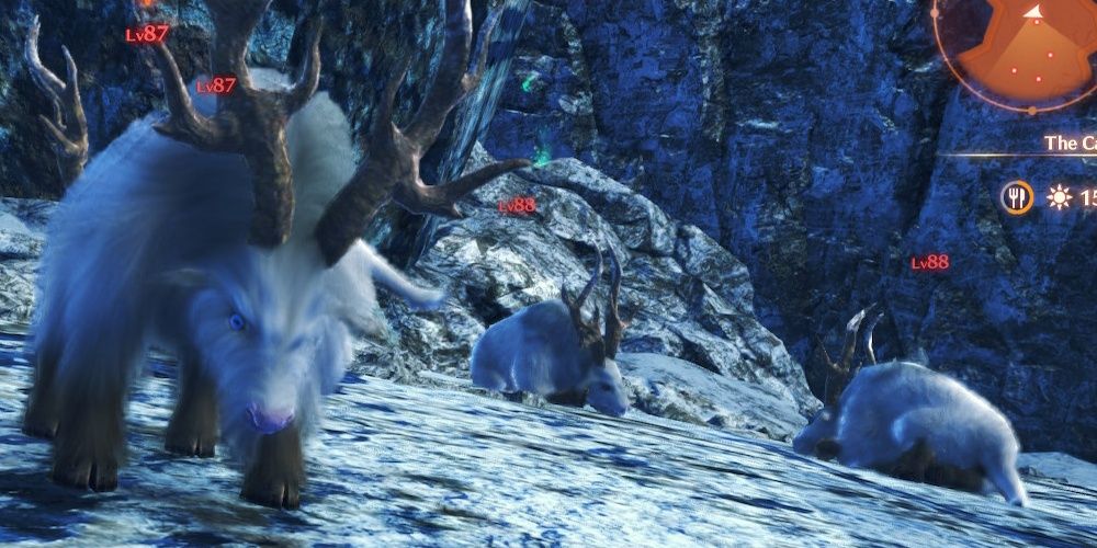 8 Most Adorable Monsters In Xenoblade Chronicles 3