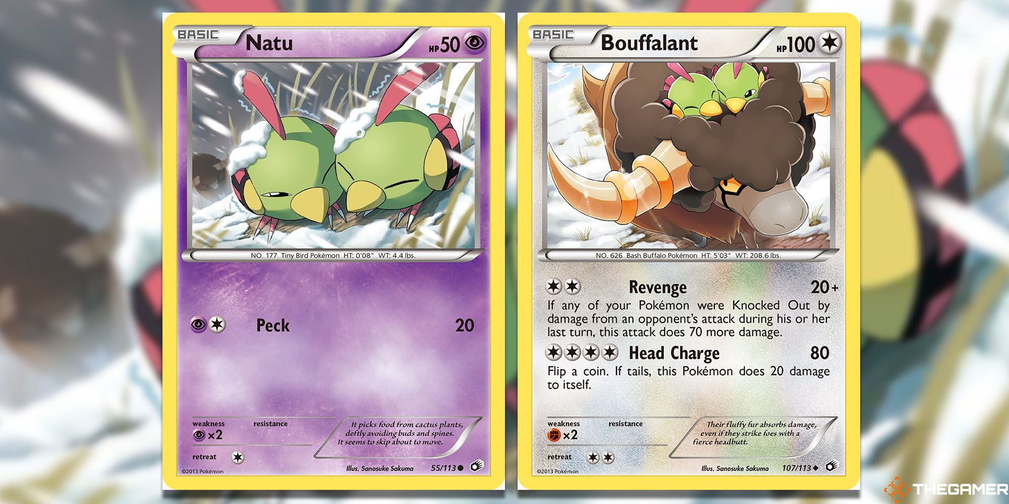 Natu card (Legendary Treasures #55) and  Bouffalant (Legendary Treasures #107) Pokemon TCG cards.