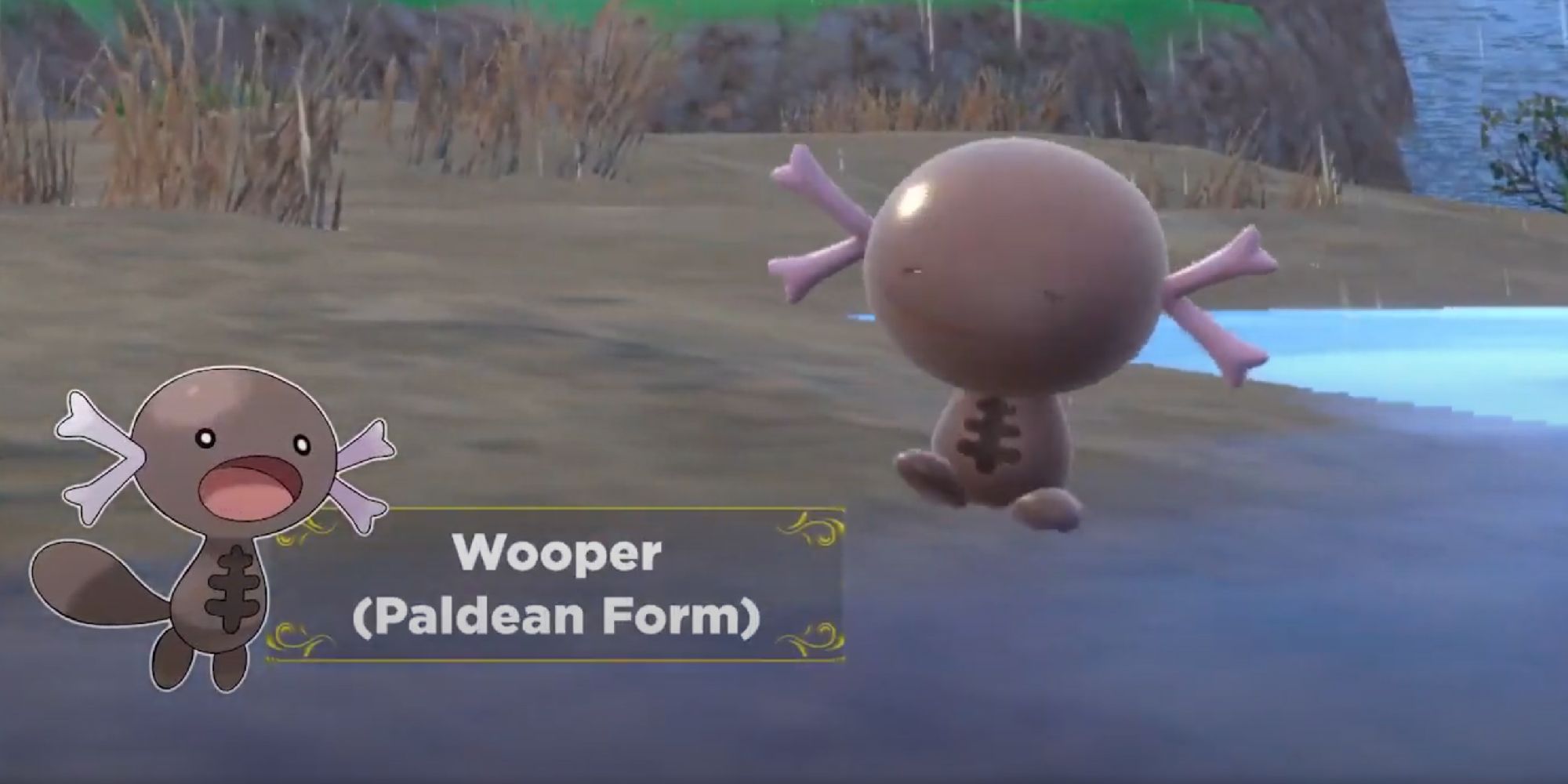 Paldea Wooper