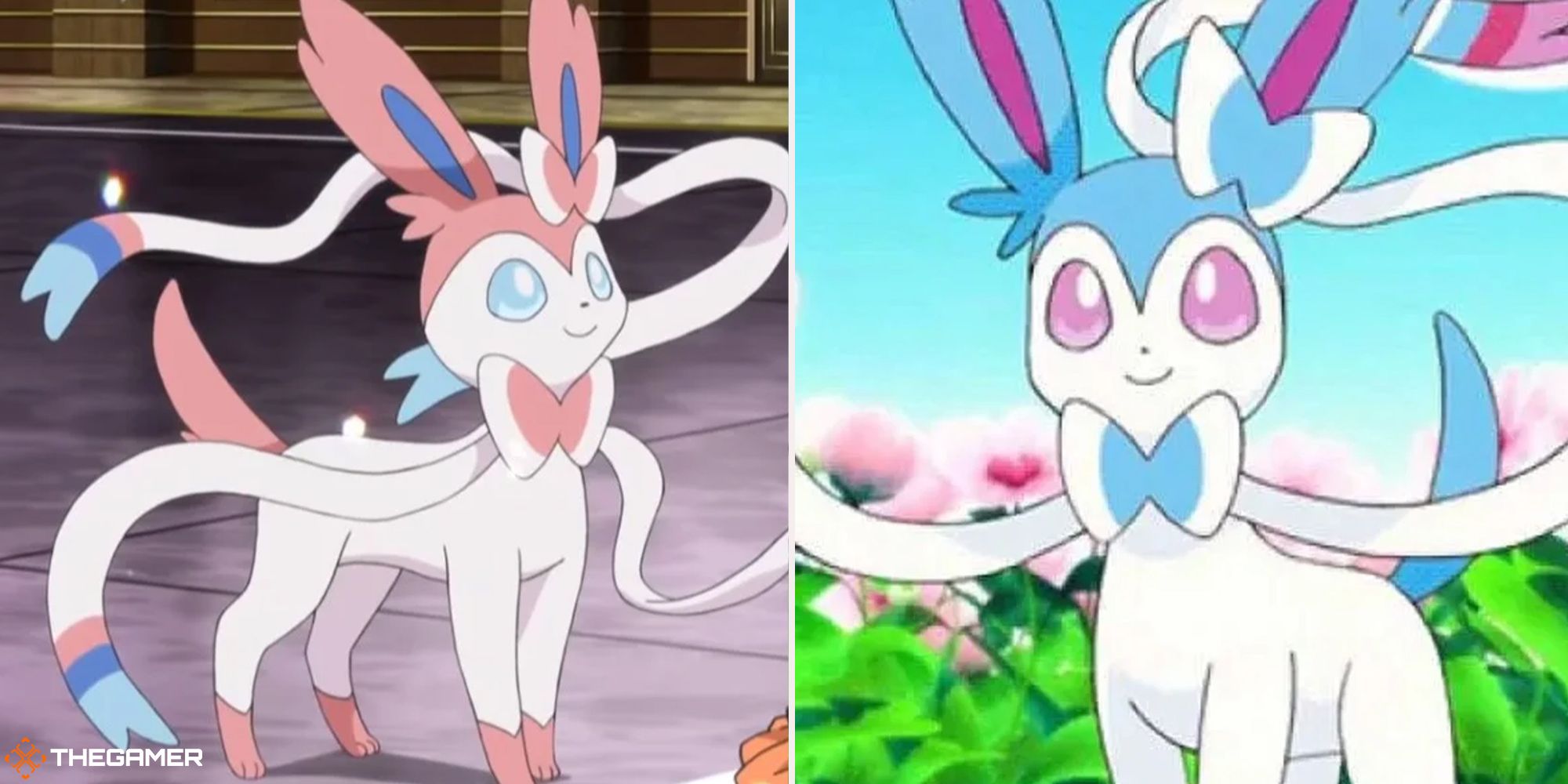 A split image of a Sylveon in the Pokemon anime on the left and a shiny Sylveon on the right.