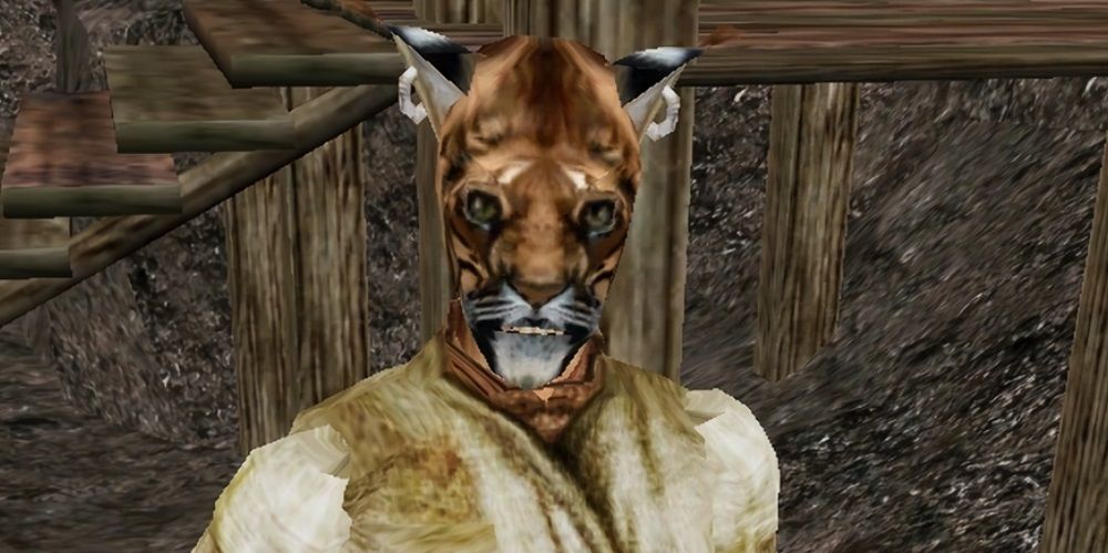 Rabinna from Morrowind standing in front of a wooden staircase