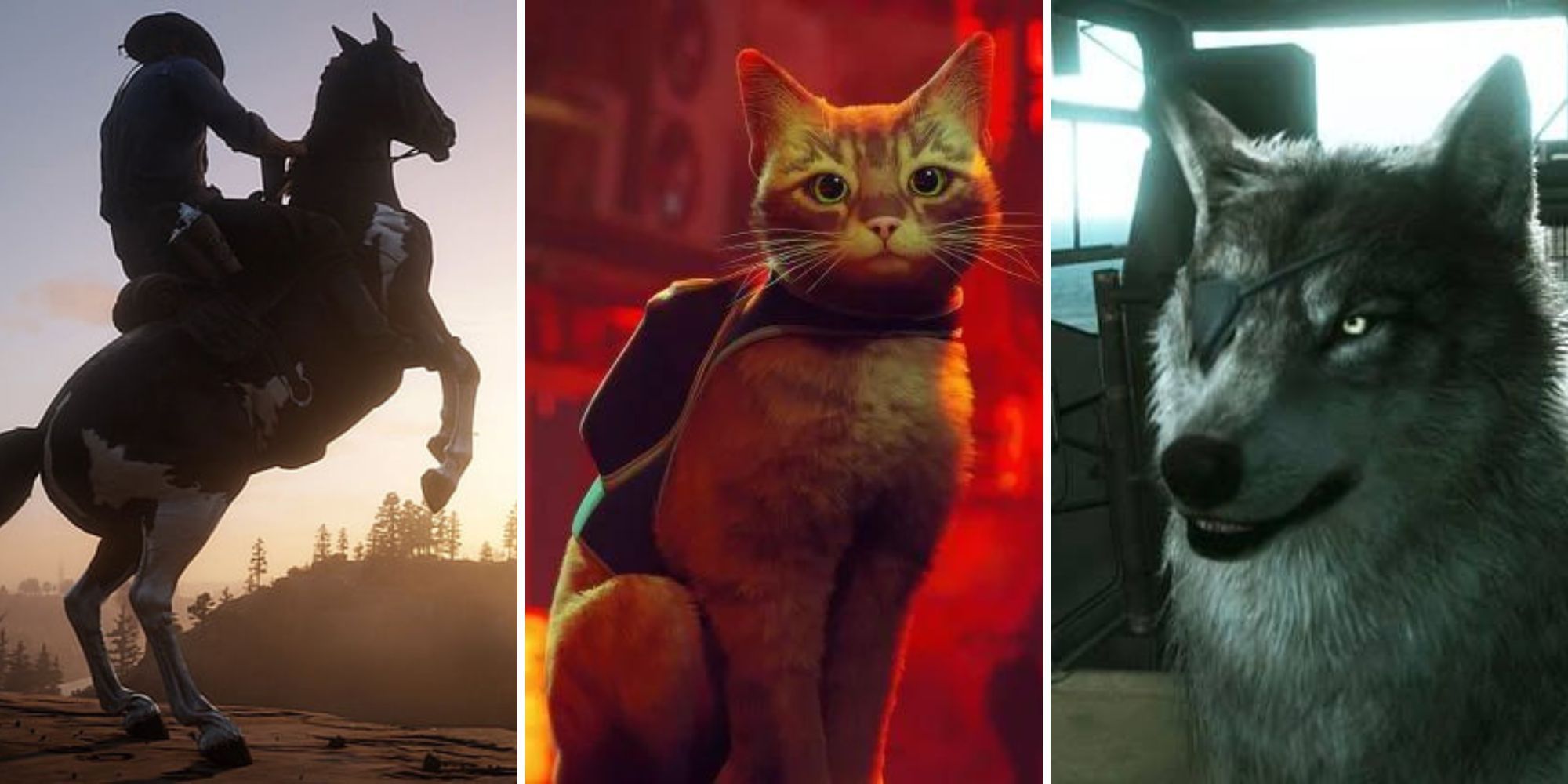 Red Dead Redemption II Horse, Cat from Stray, D-Dog from Metal Gear Solid V