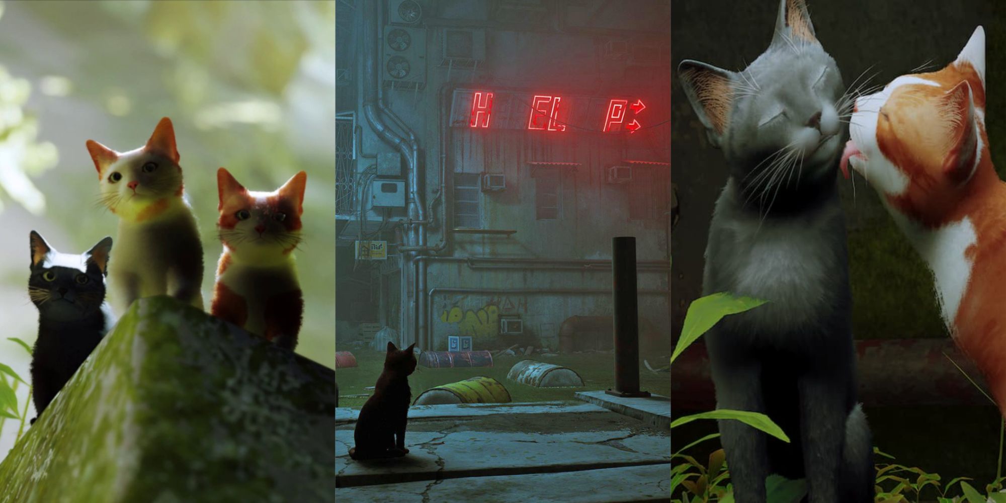 Stray: Best Cat Behaviors The Game Nailed Cover featuring the protagonist cat and its companions as well as a help sign