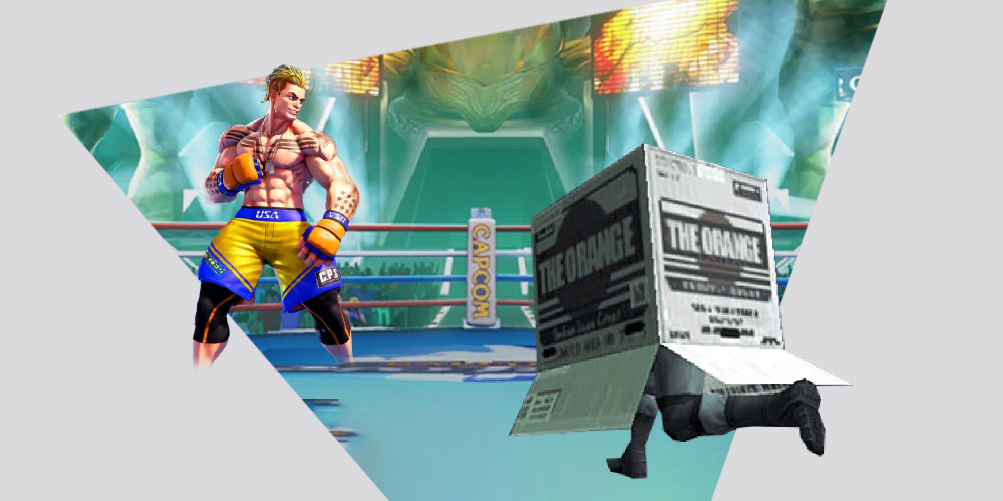 Street Fighter Cardboard Box