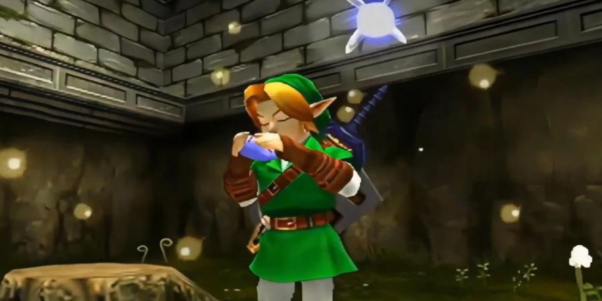Link plays the Ocarina in the Lost Woods