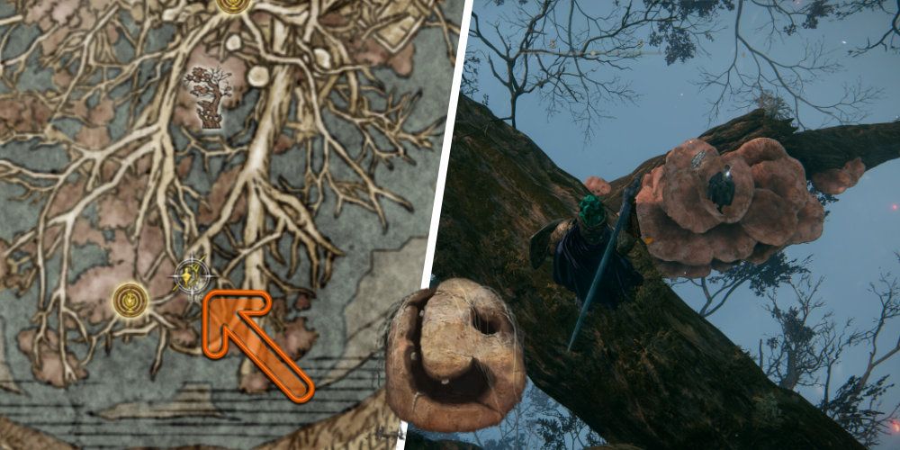 Split image of a map and a person standing on large branches of a diseases tree.