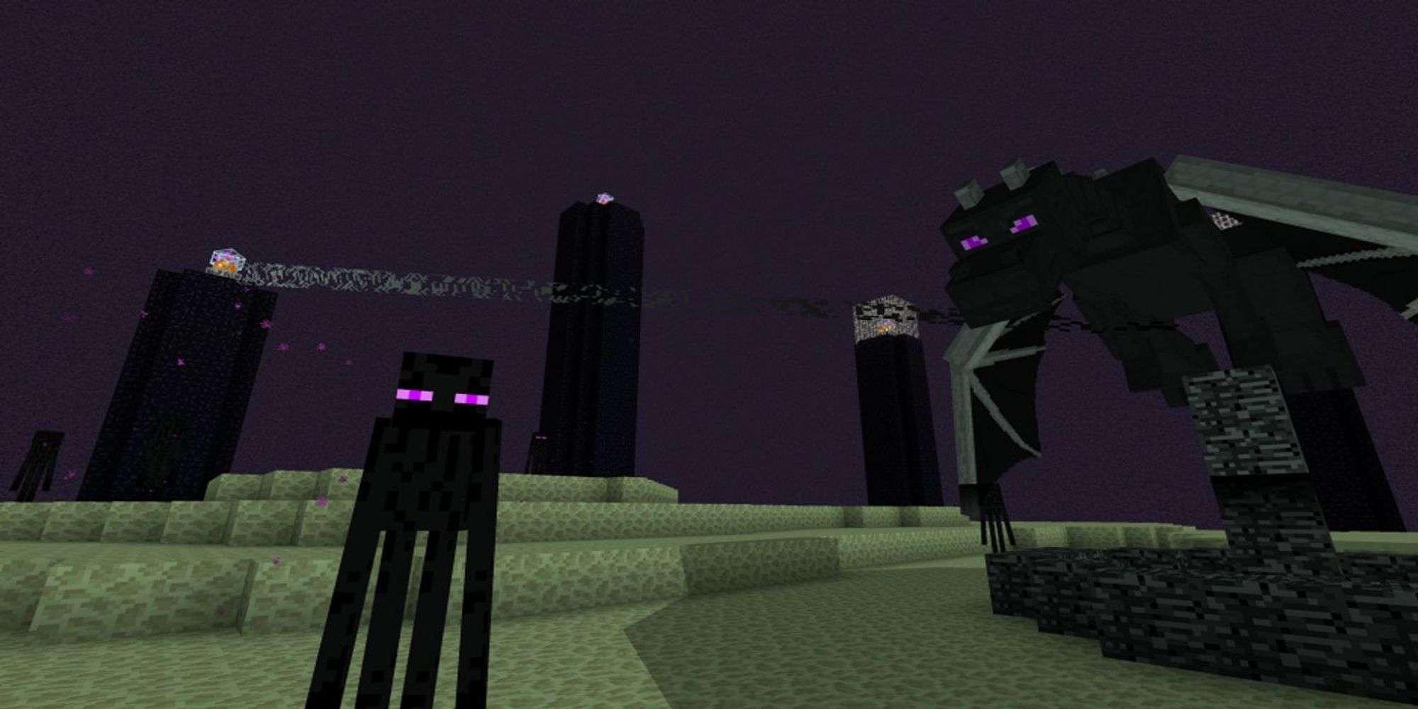 enderman and ender dragon standing next to each other