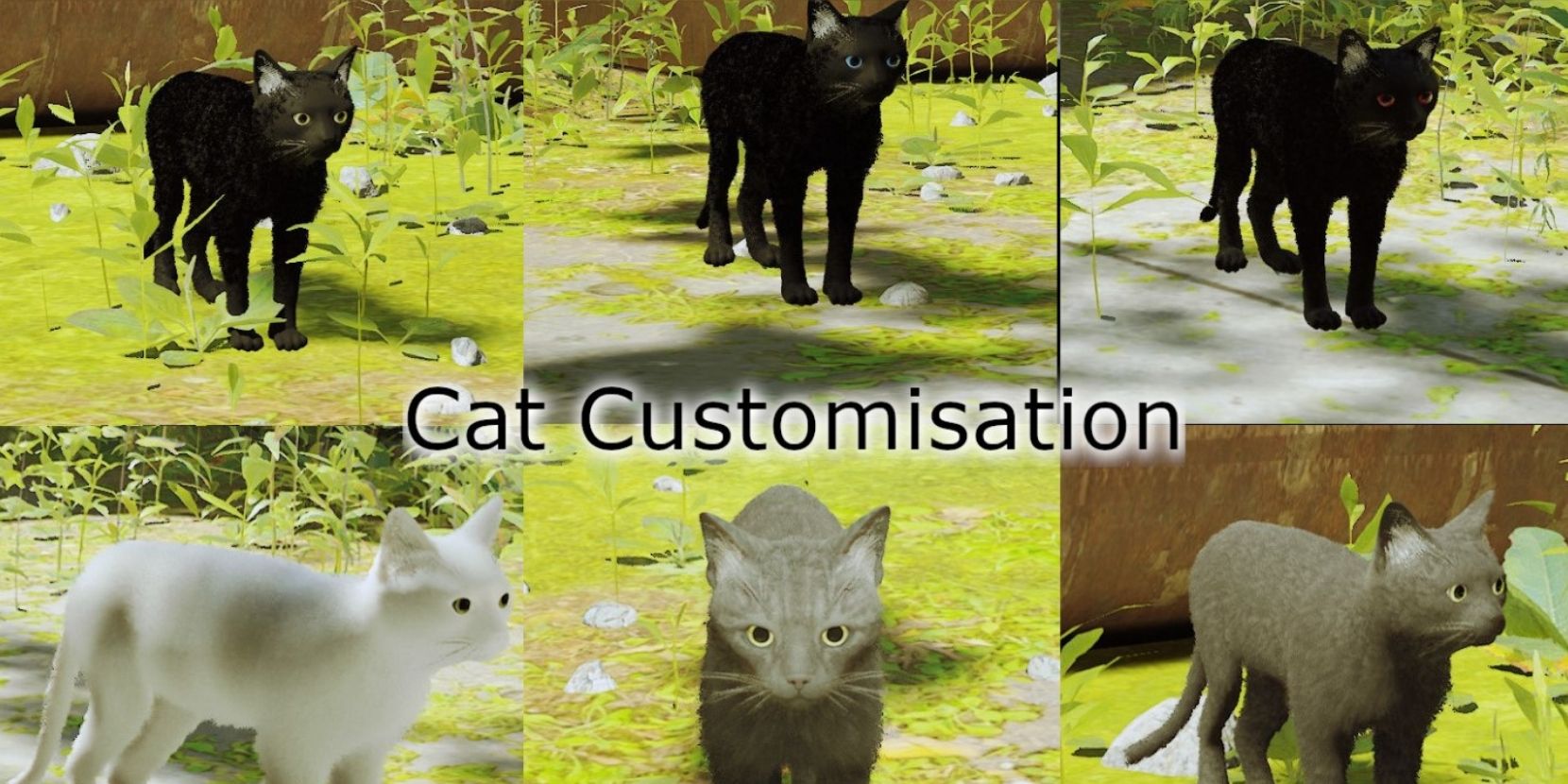 stray cat customisation