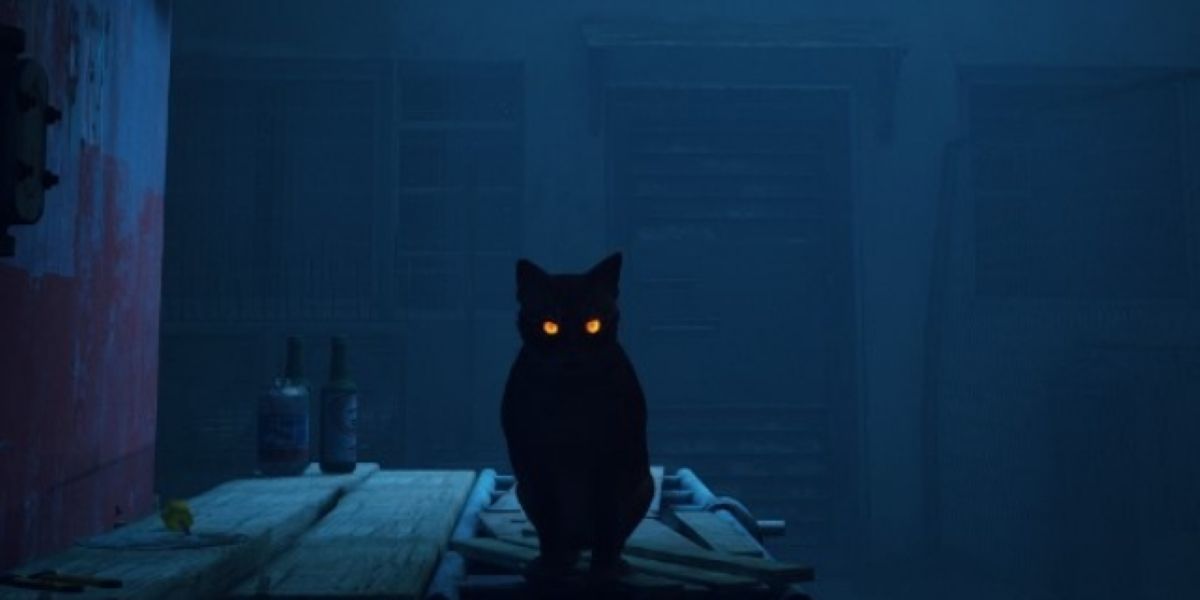 stray emissive cat eyes orange glow