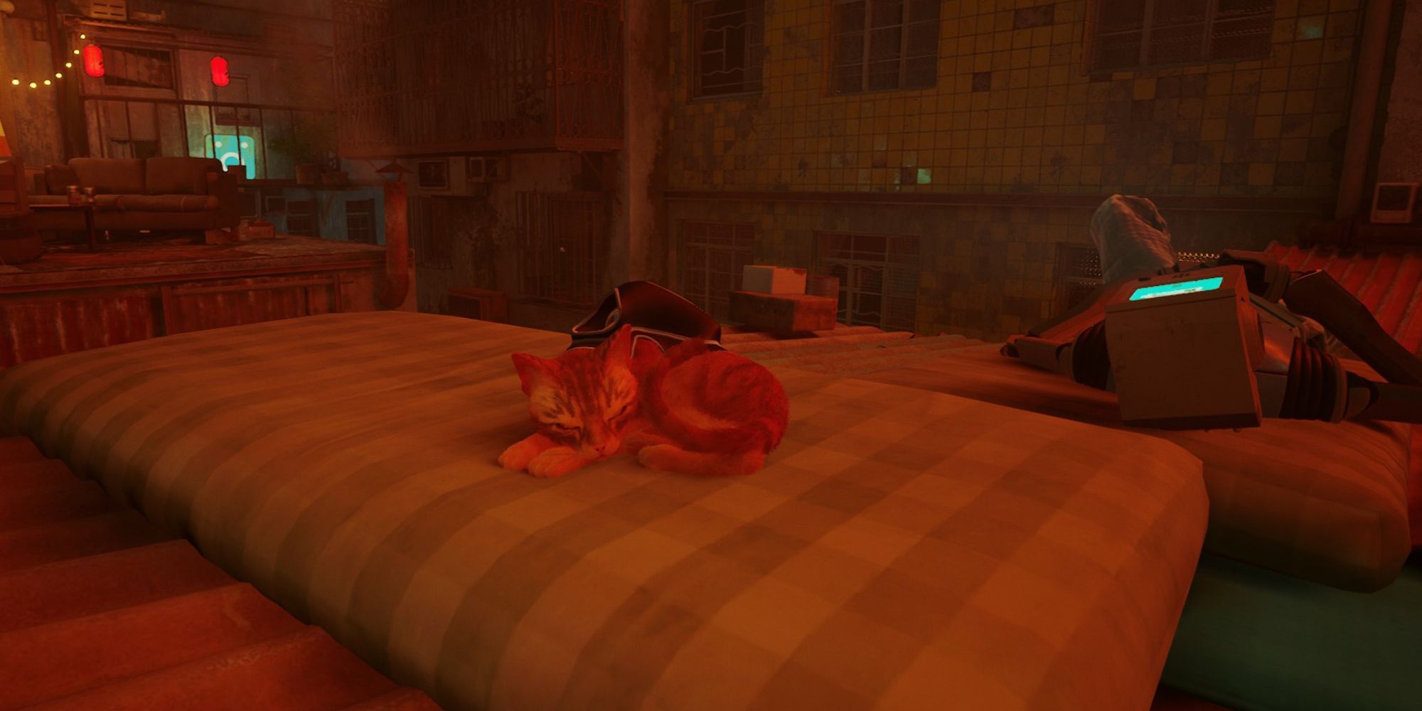 the cat from Stray lies on a mattress topper