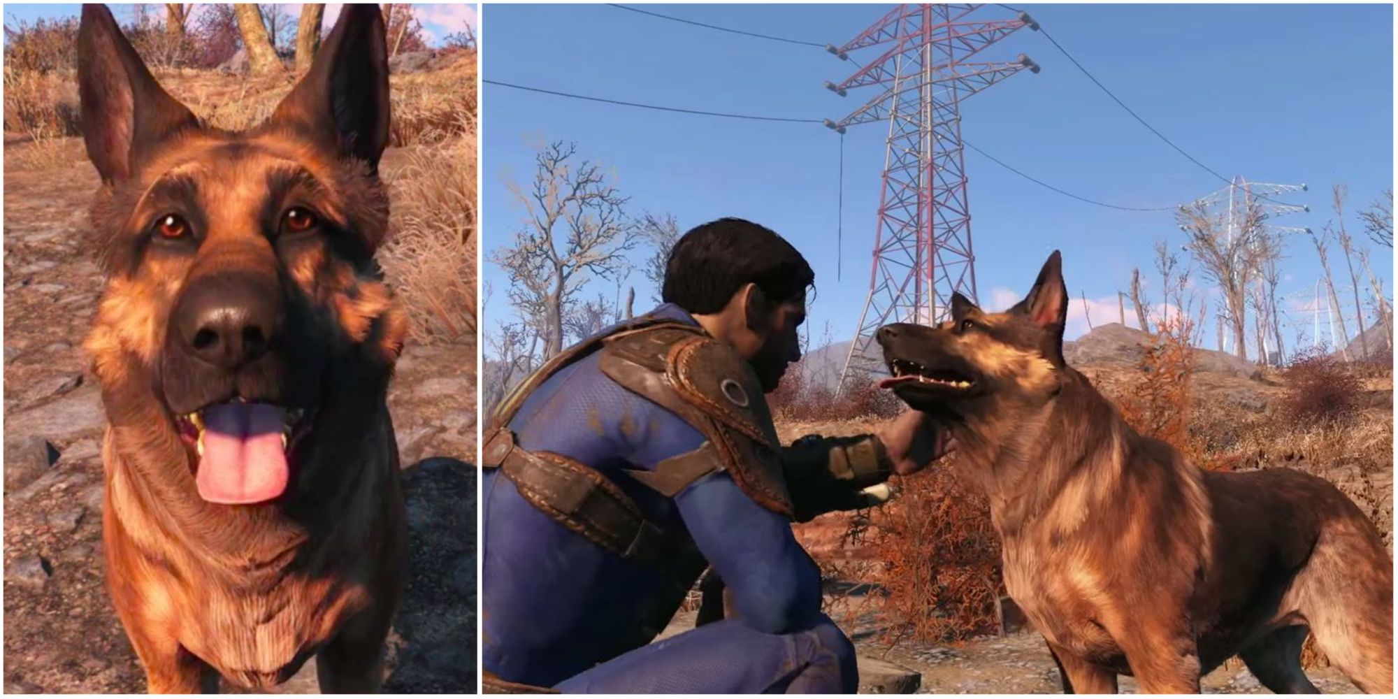 Main character petting Dogmeat in Fallout 4