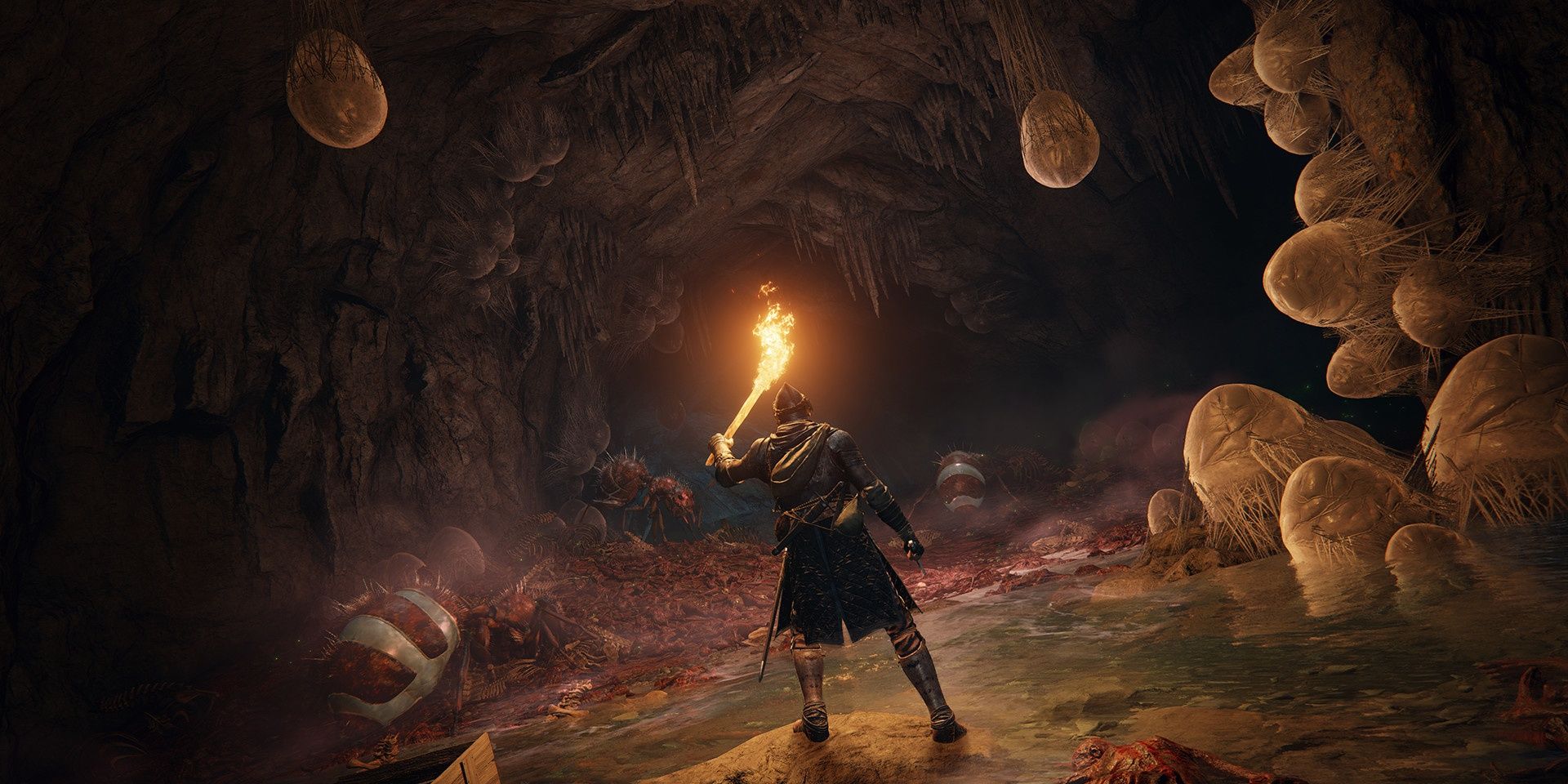 A character holding a torch up in an egg-filled cave in Elden Ring