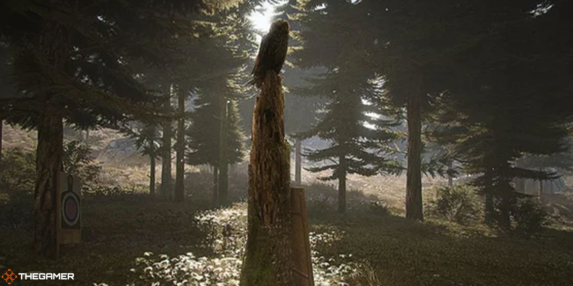 Ghost Recon Wildlands - exploding owl