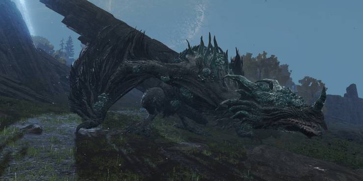 The Dragons
