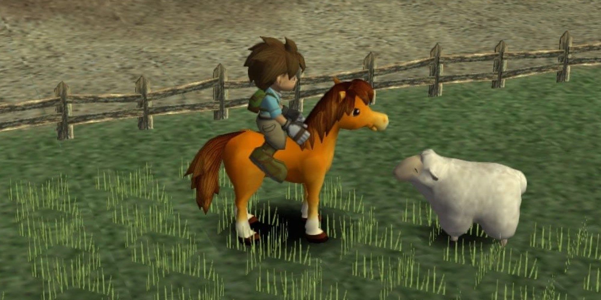 Harvest Moon A Wonderful Life Protagonist On Horse In Pen With Sheep
