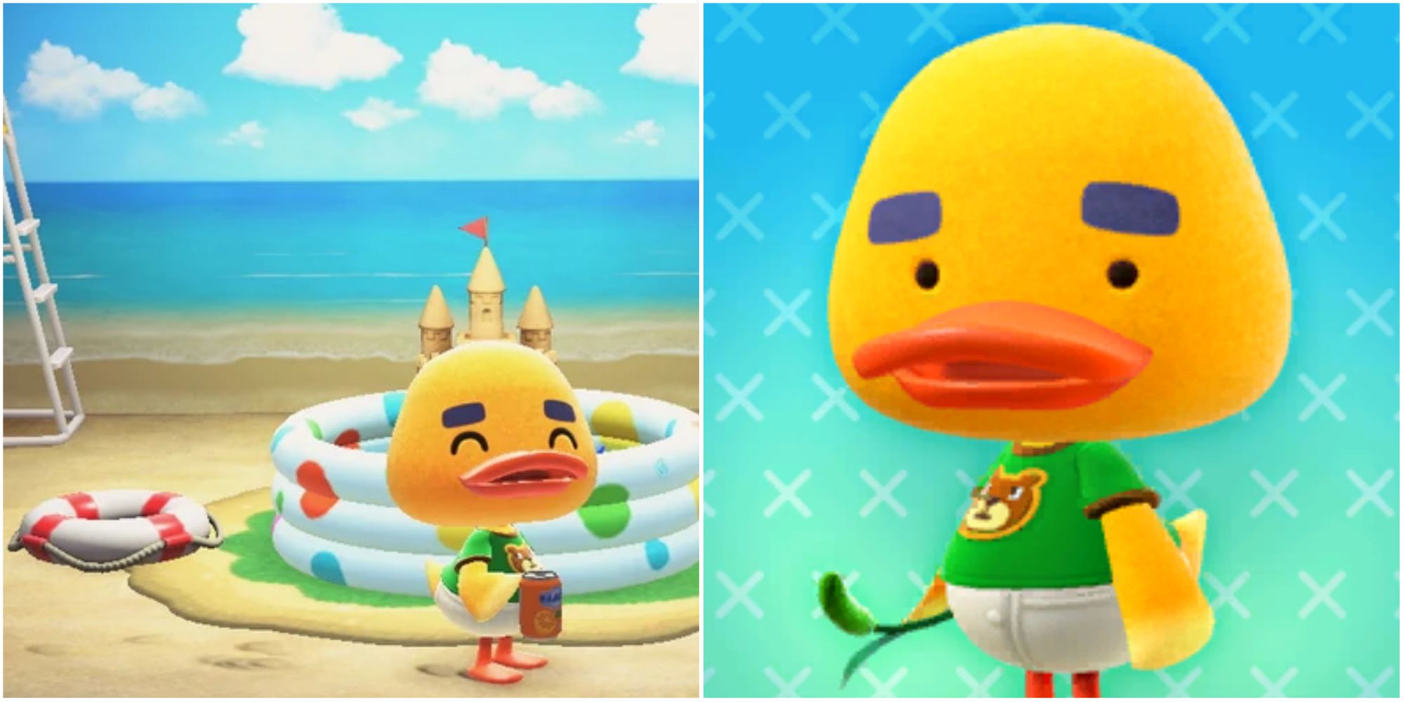 10 Best Duck Villagers In Animal Crossing New Horizons