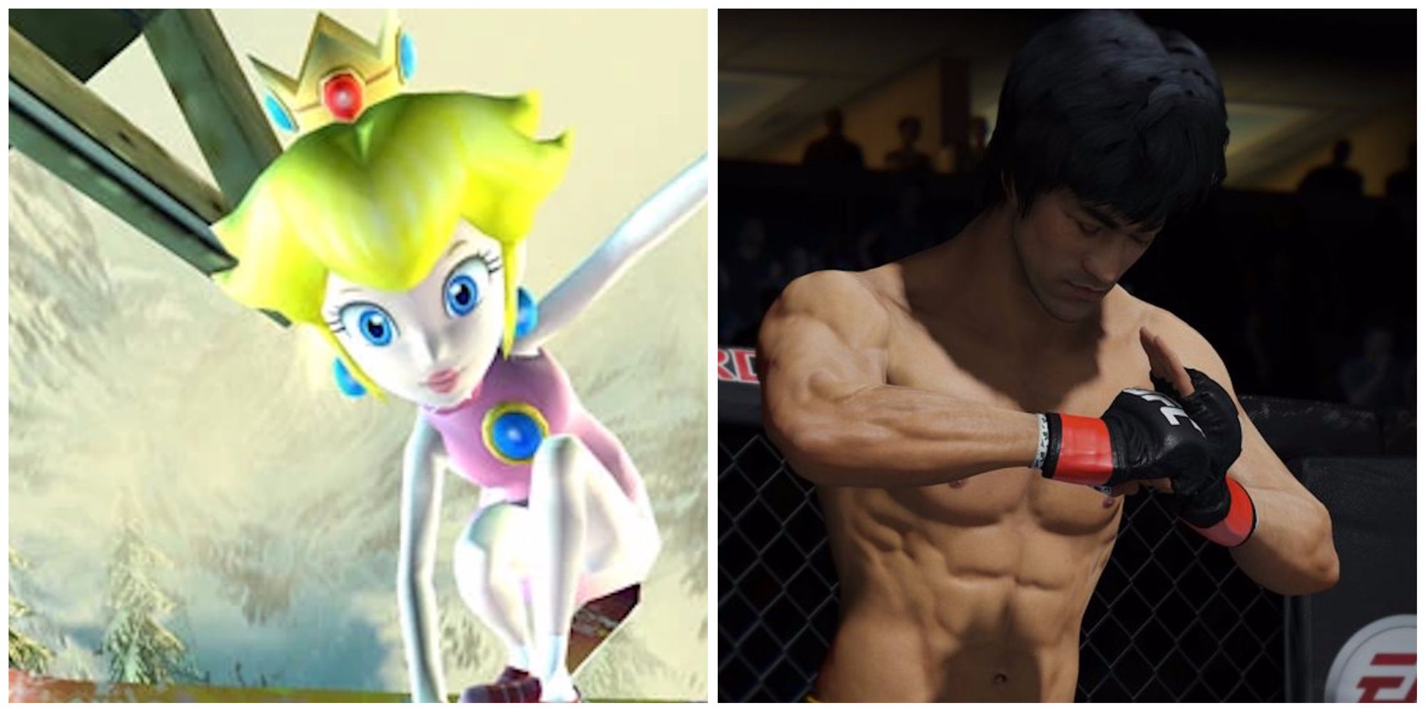 SSX Hard and in Bruce Lee in Pach UFC Siplot Image