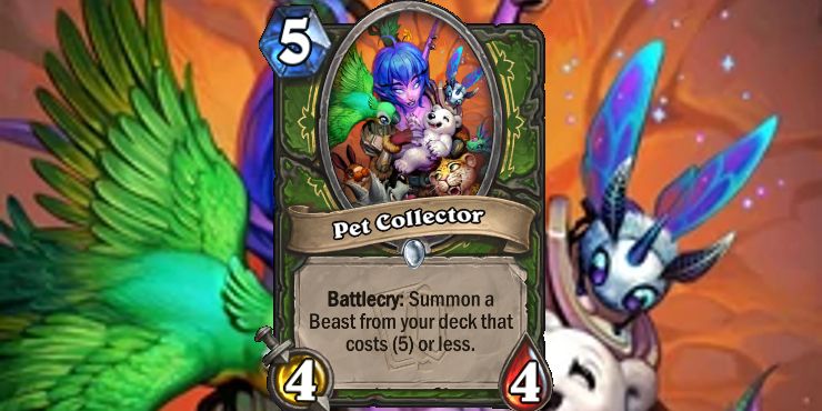Hearthstone Pet Collector