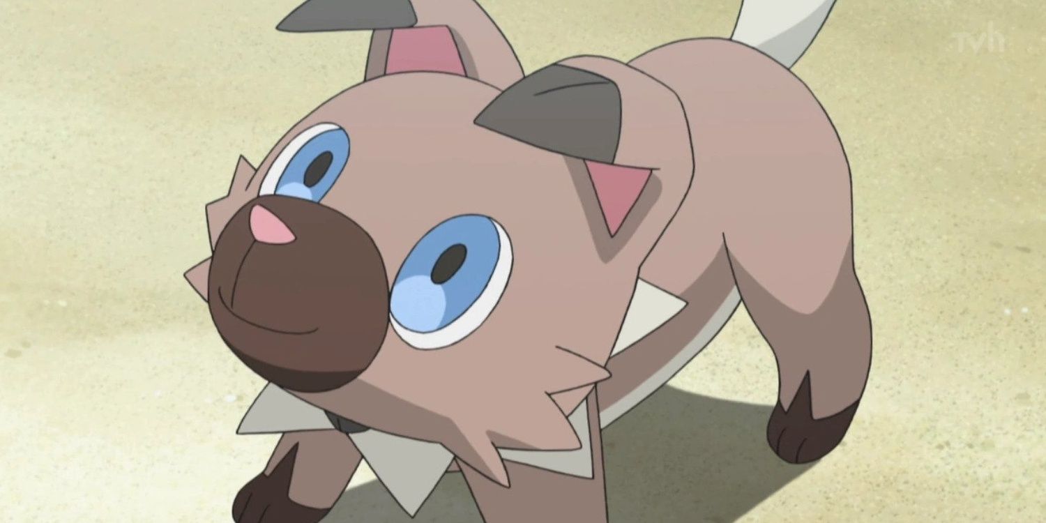 Rockruff looking up with a smile on its face.