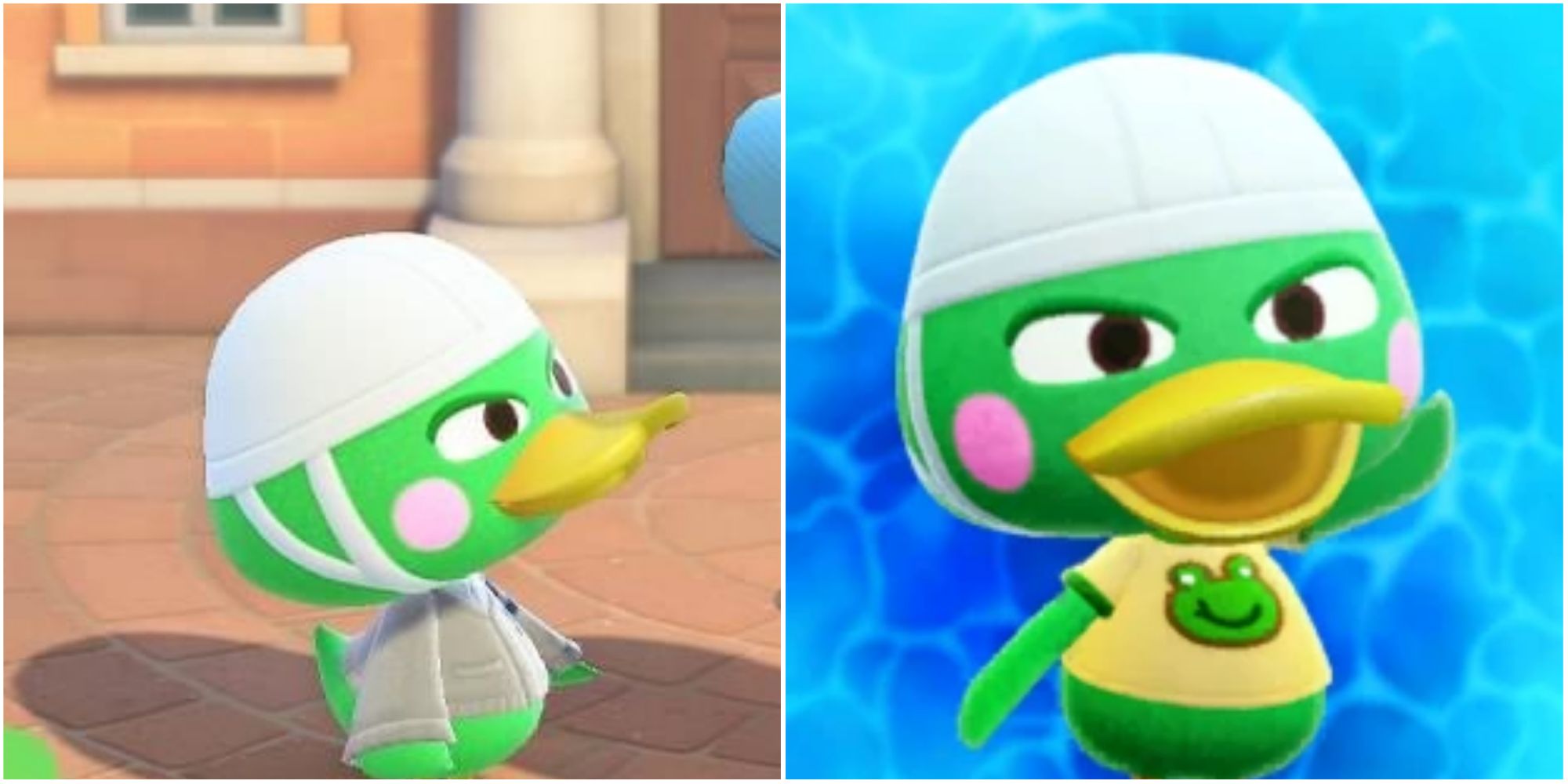 10 Best Duck Villagers In Animal Crossing: New Horizons