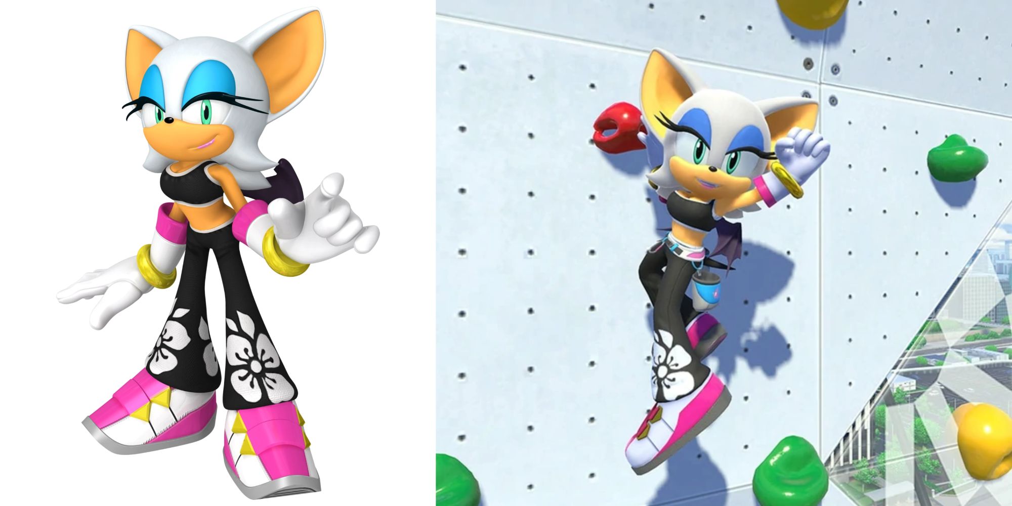 Sonic Riders and Olympics Rouge the Bat