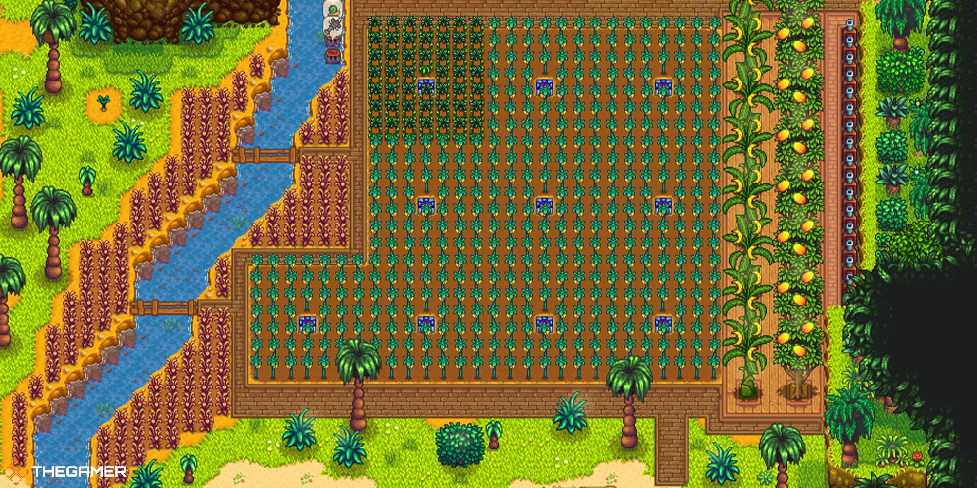 the ginger island farm laid out to optimize crop growth stardew valley farm layout