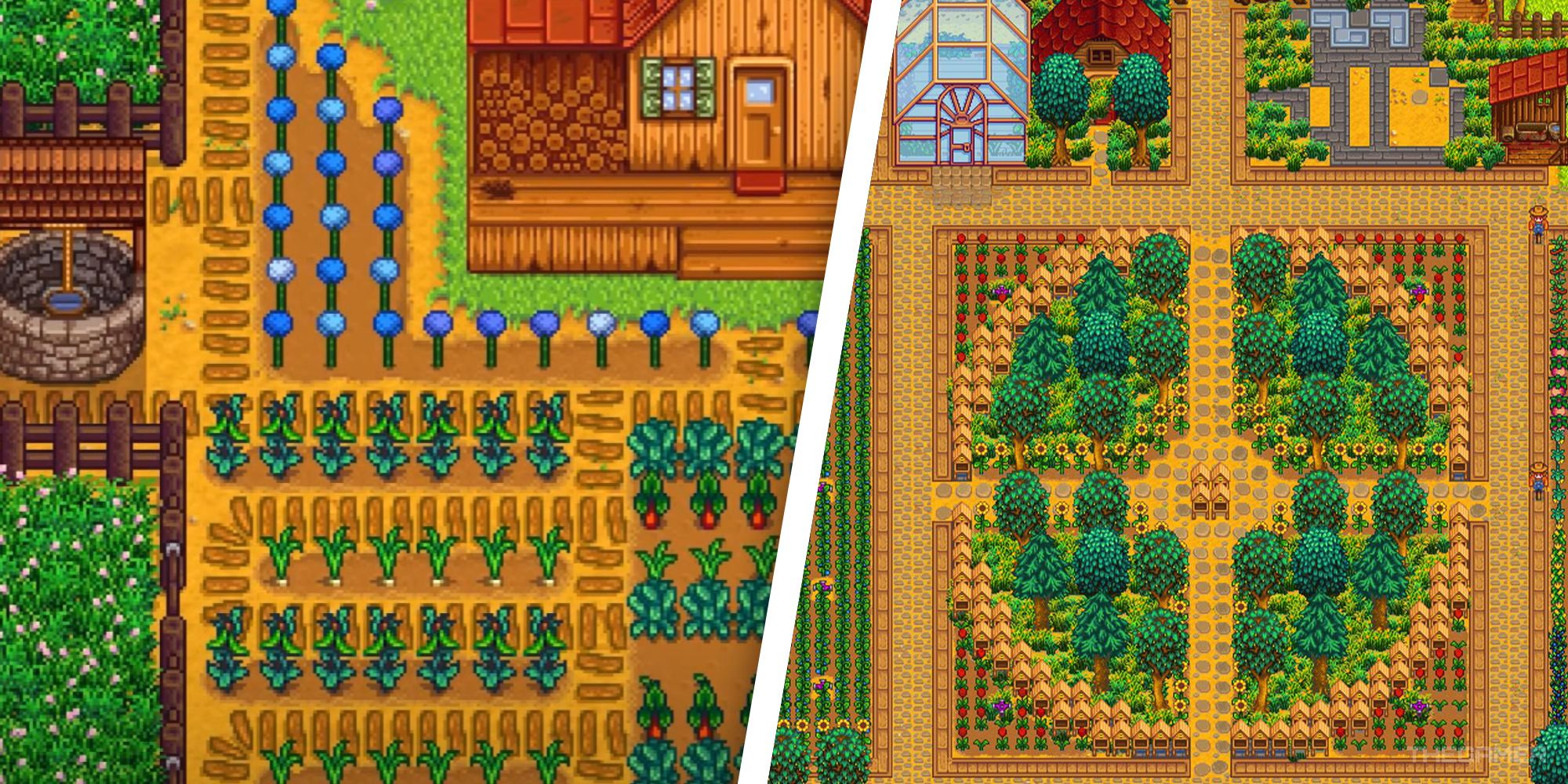 Stardew Valley Farm Feature Image