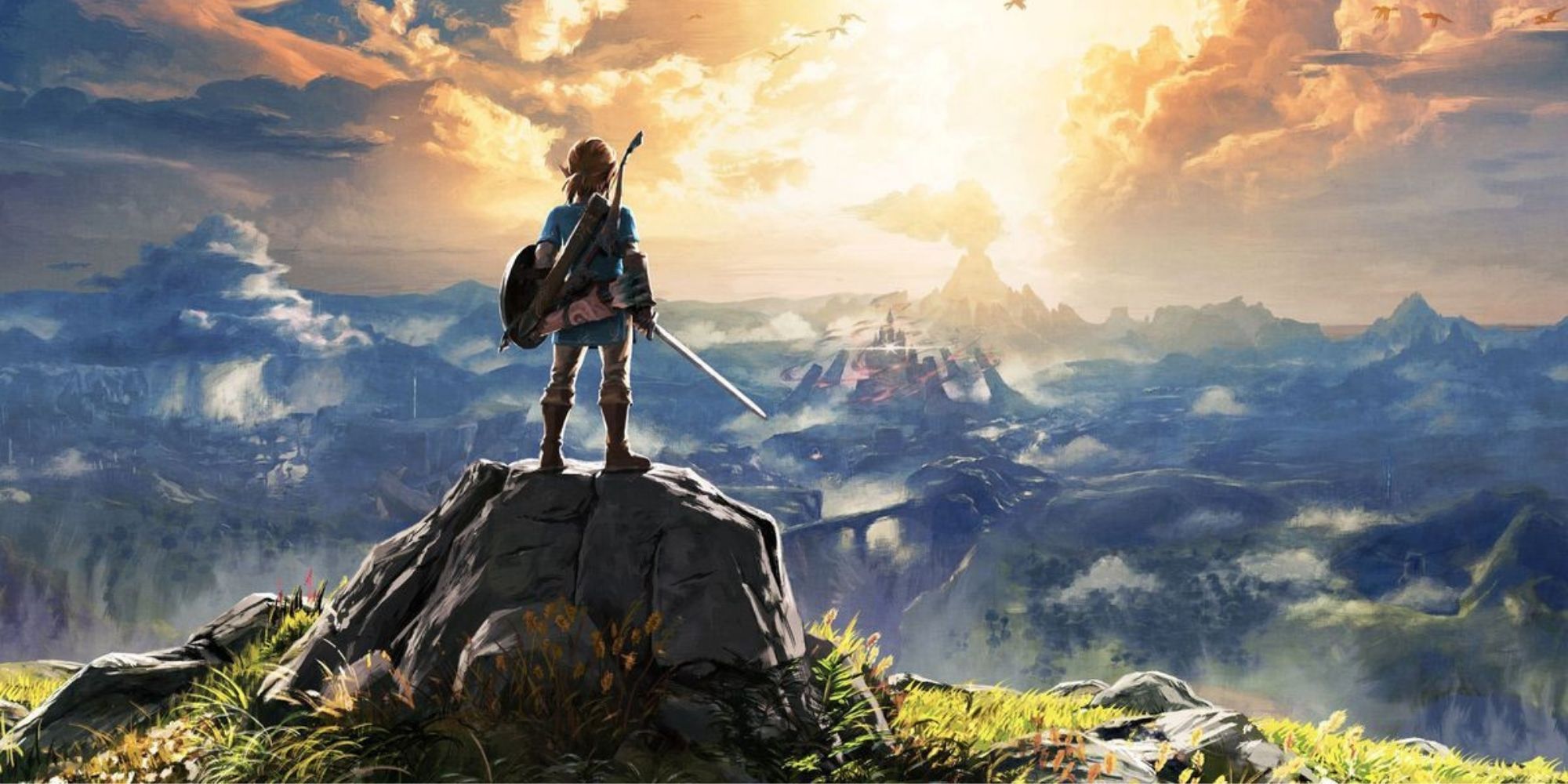 Link faces the horizon while standing on a rock