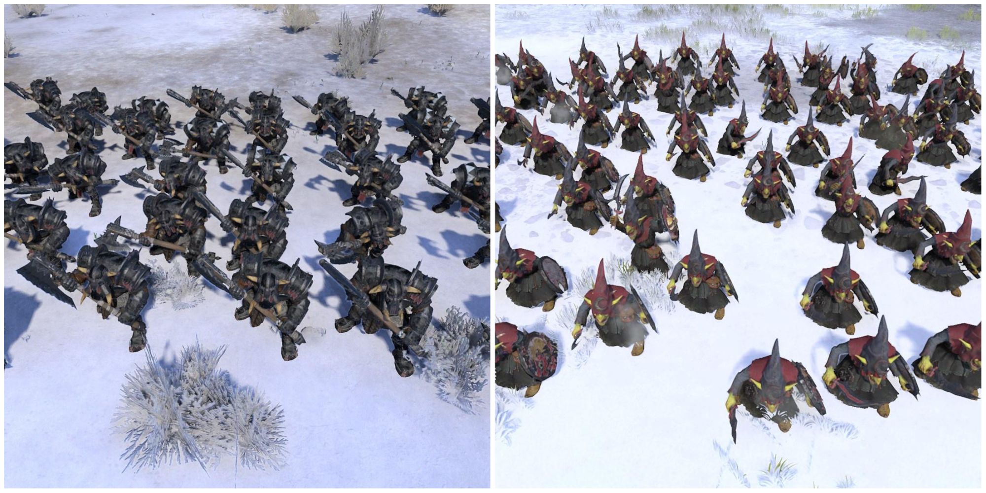 Black Orcs and Night Goblins in Total War: Warhammer 3.