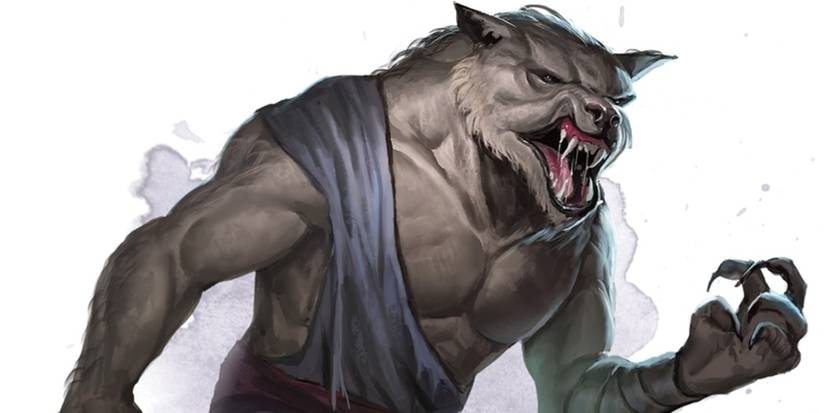 D&D: Best Homebrew Races