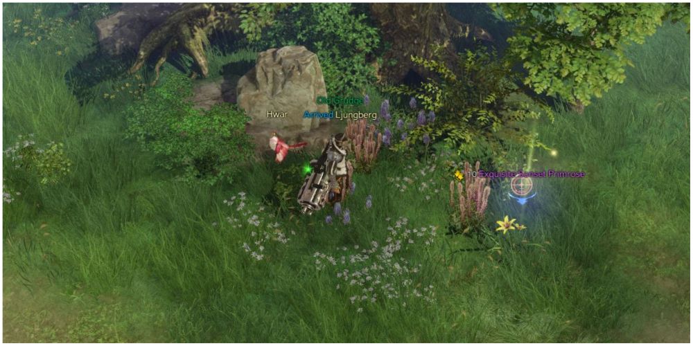 lost ark foraging guide breezesome brae