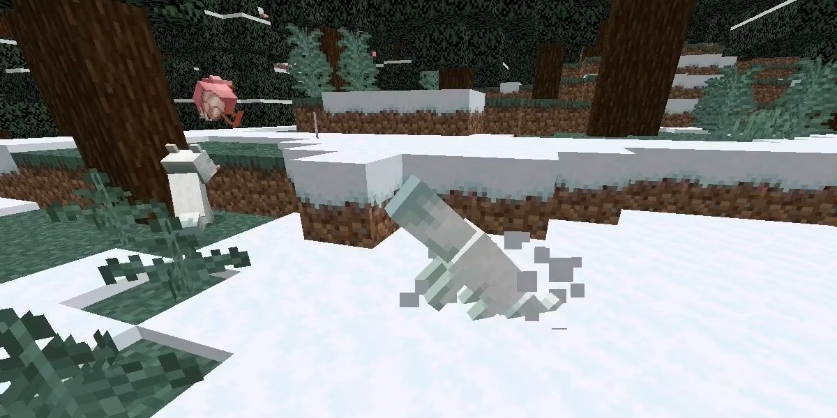 Minecraft Arctic Fox Digging In Snow In Snowy Taiga Biome Killing Chicken