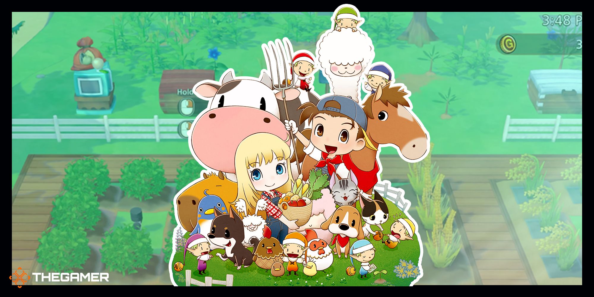 Image and art from Story of Seasons Friends of Mineral Town.
