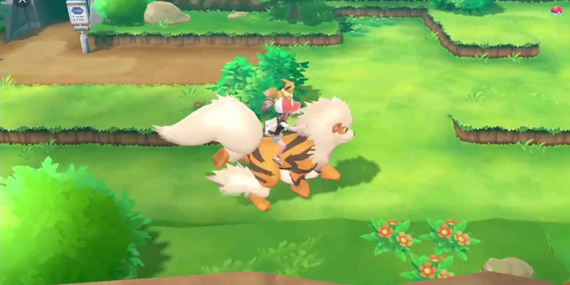 A Pokemon Trainer rides an Arcanine through a route
