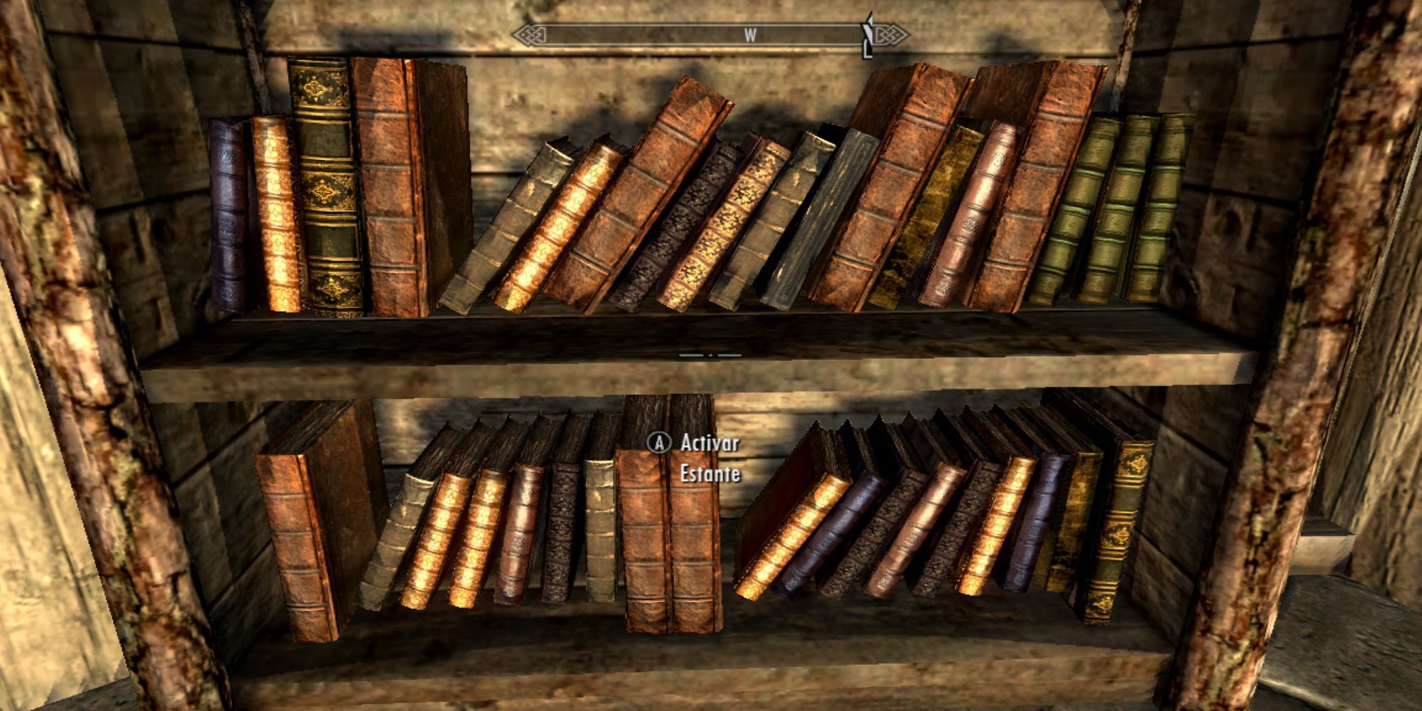 Bookshelf full of books Skyrim