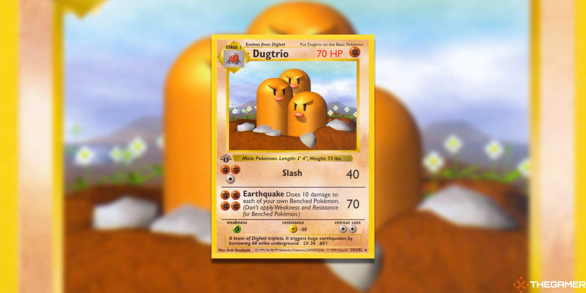 Dugtrio Example Types