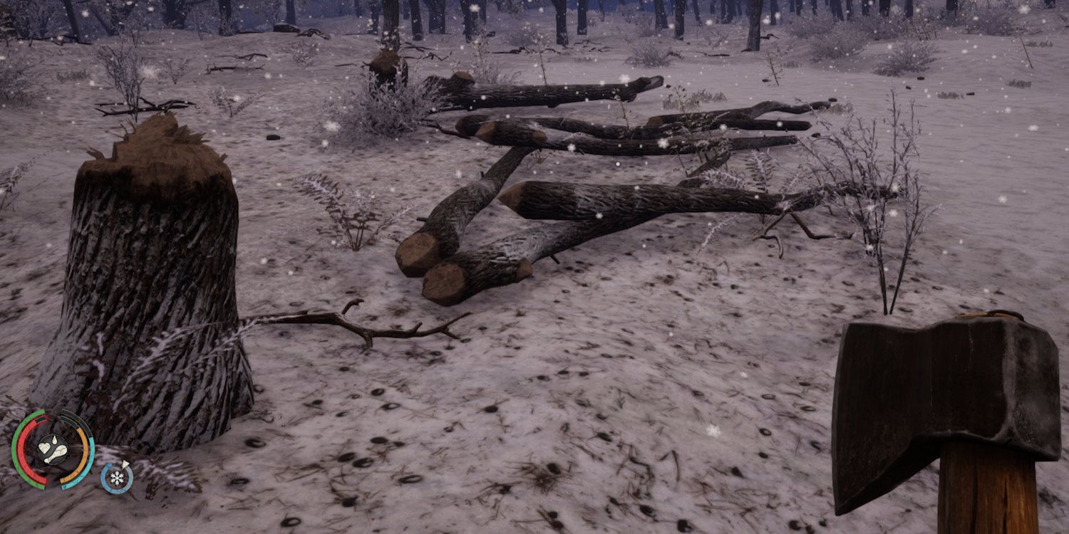 A pile of logs near a freshly cut tree stump in winter
