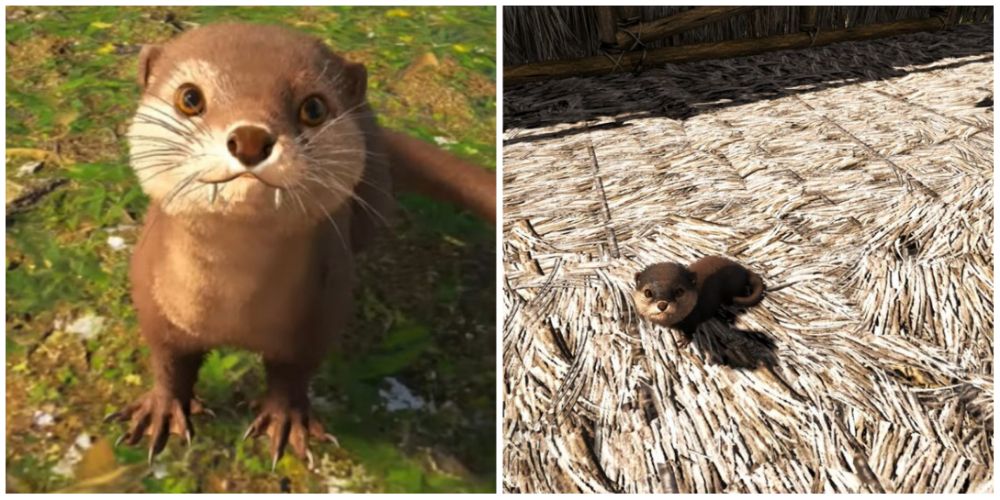 Best Otters In Video Games