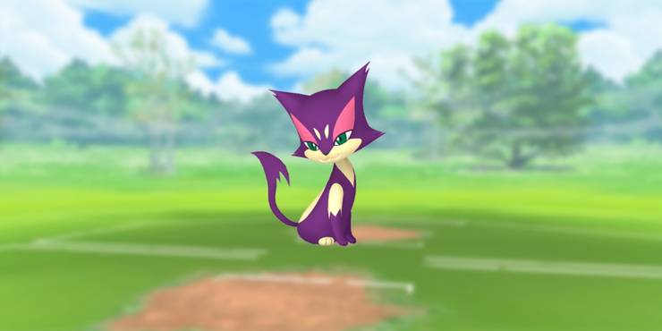 Spotlight-Hour-Purrloin.jpg (740×370)